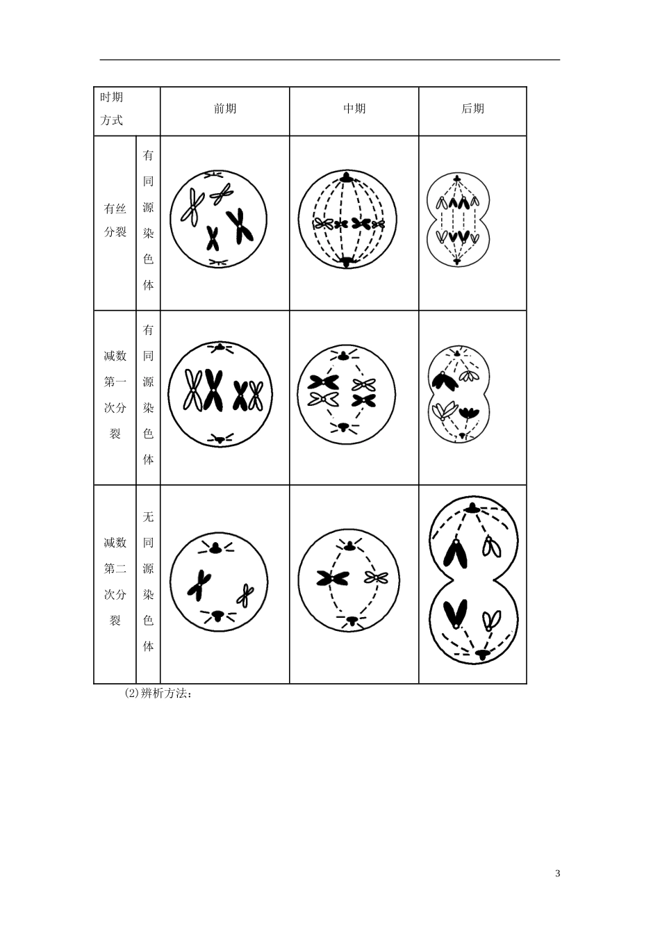 2013高考生物二轮复习精品资料专题04 细胞增殖、分化、衰老和癌变教学案（学生版）_第3页
