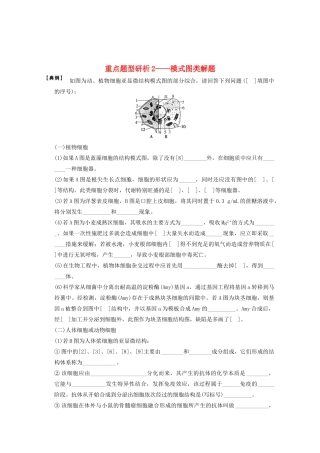 2013高考生物一轮复习 第二单元 考能专项突破教案