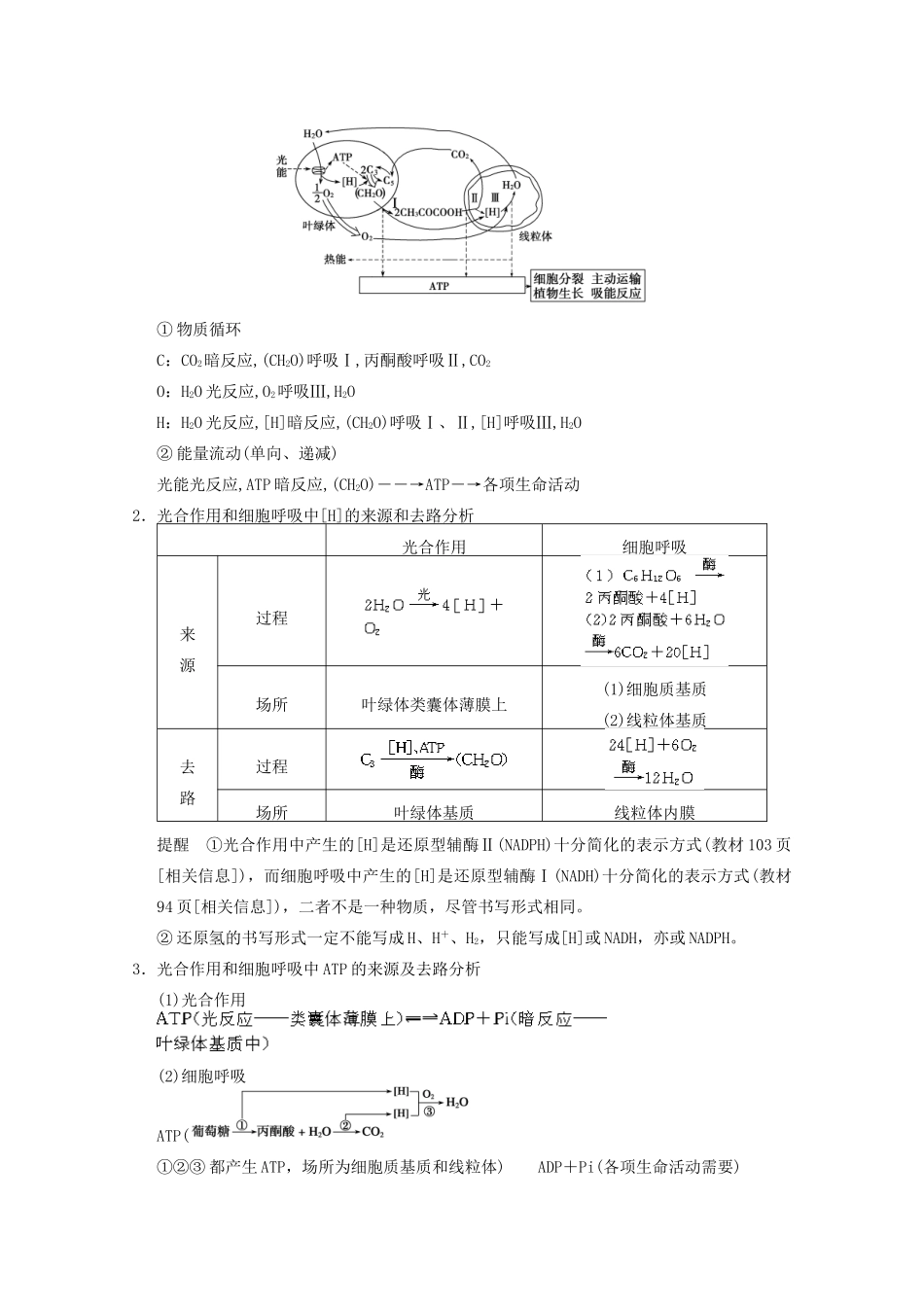 2013高考生物一轮复习 第三单元 考能专项突破教案_第2页