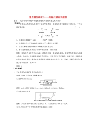 2013高考生物一轮复习 第三单元 考能专项突破教案