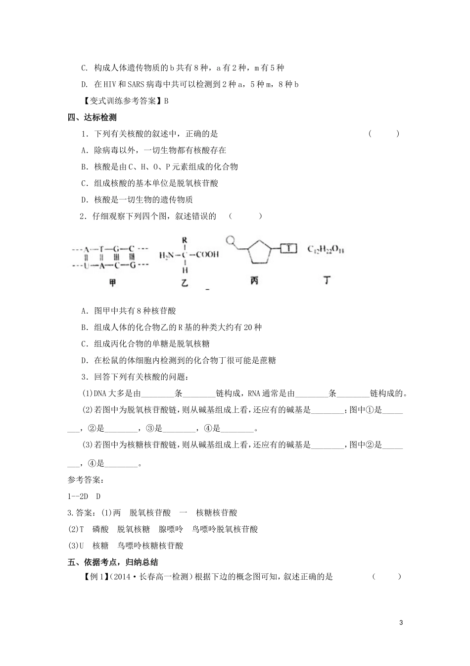 2014-2015学年高中生物 2.2.3 细胞中的核酸同步导学案 苏教版必修1_第3页