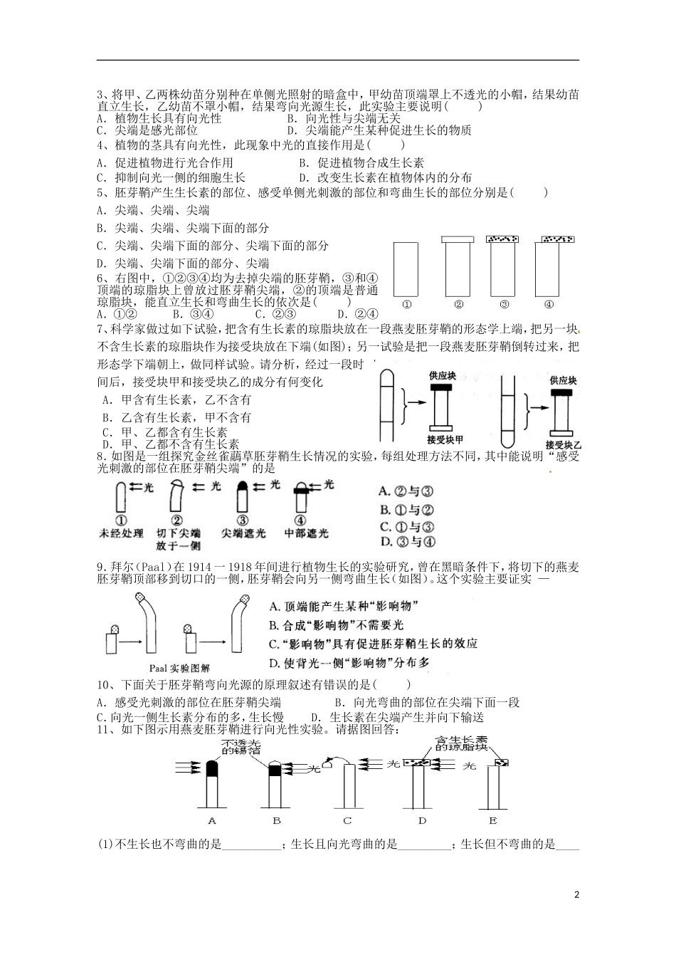 2013高中生物 3.1 生长素的发现导学案 新人教版必修3_第2页