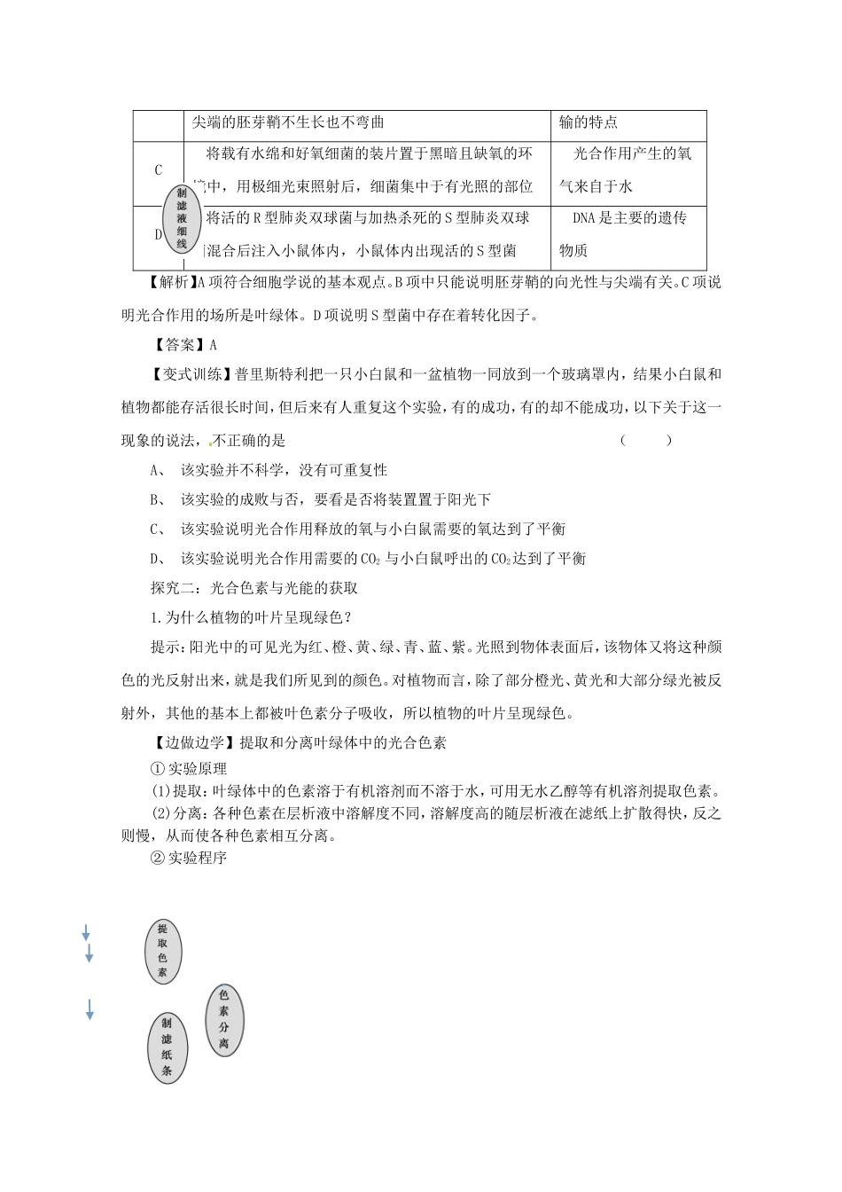 2014-2015学年高中生物 4.2.1 光合色素与光能的捕获同步导学案 苏教版必修1_第3页