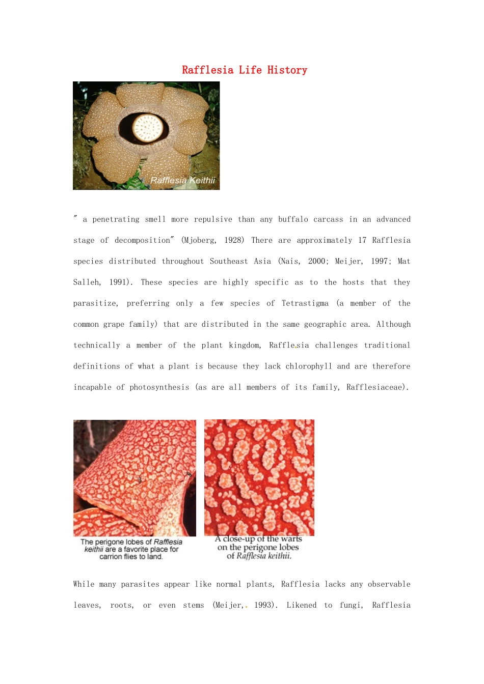 2014-2015学年高中英语 Unit 4 Exploring plantsRafflesia Life History素材 新人教版选修9_第1页