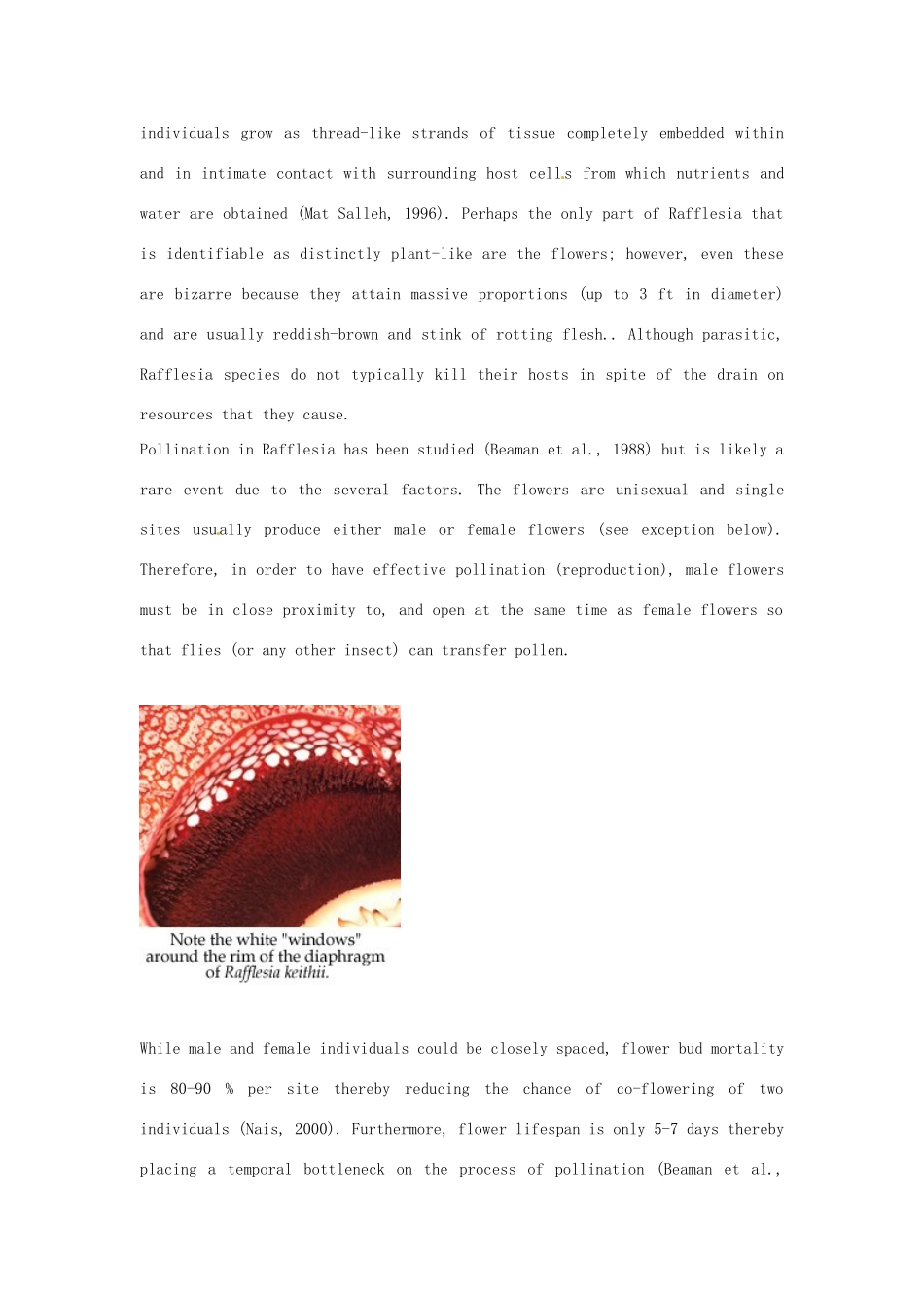 2014-2015学年高中英语 Unit 4 Exploring plantsRafflesia Life History素材 新人教版选修9_第2页