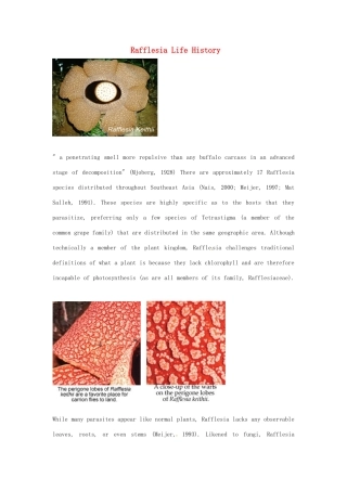 2014-2015学年高中英语 Unit 4 Exploring plantsRafflesia Life History素材 新人教版选修9