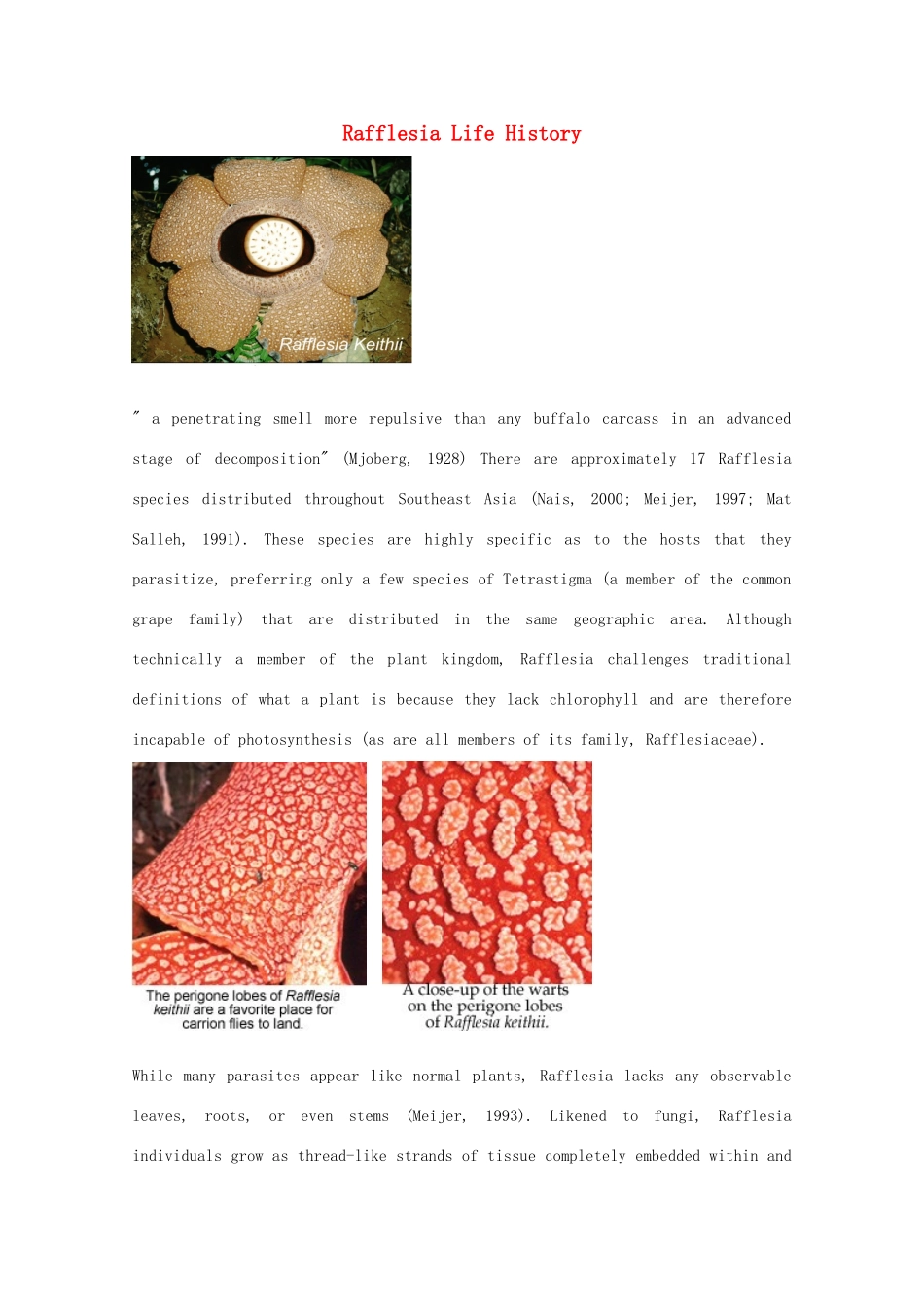 2014-2015学年高中英语 参考阅读 Rafflesia Life History素材 新人教版选修9_第1页