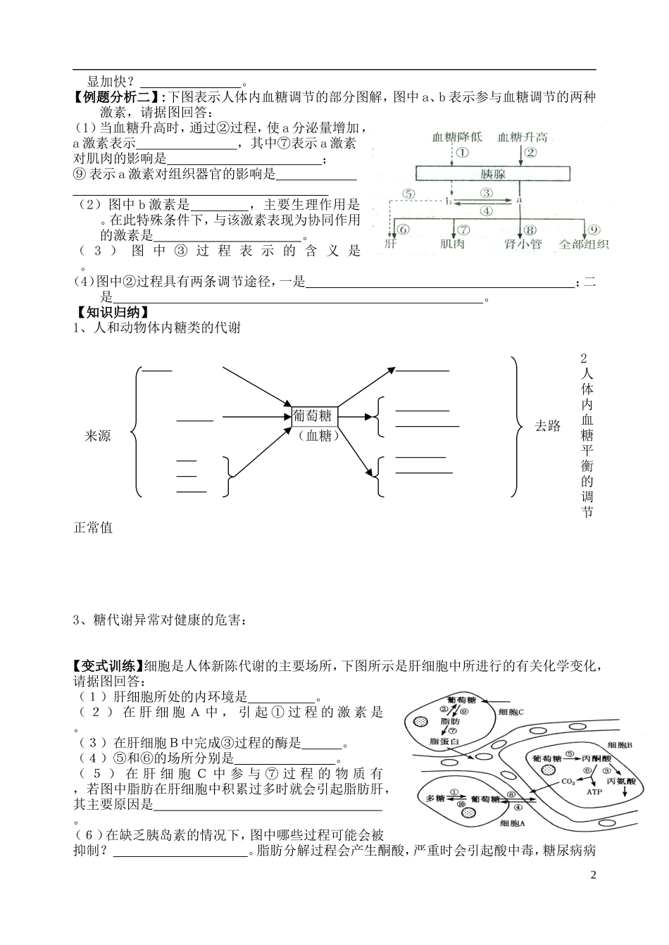 2014年高三生物二轮复习 人和动物体的新陈代谢学案 苏教版_第2页