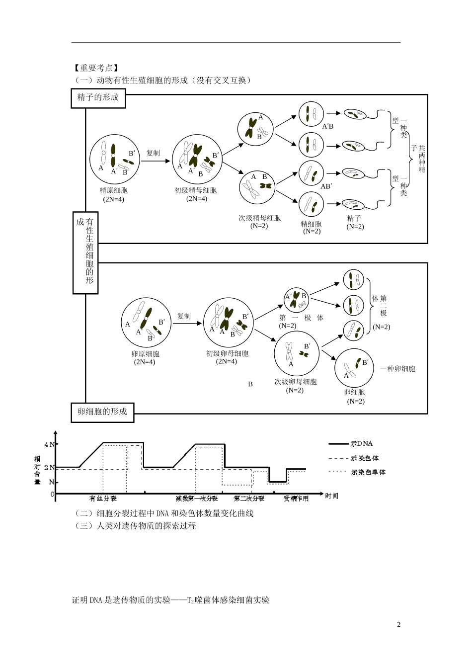 2014届高三生物二轮专题复习 专题五 遗传的细胞基础和分子基础学案 新人教版_第2页