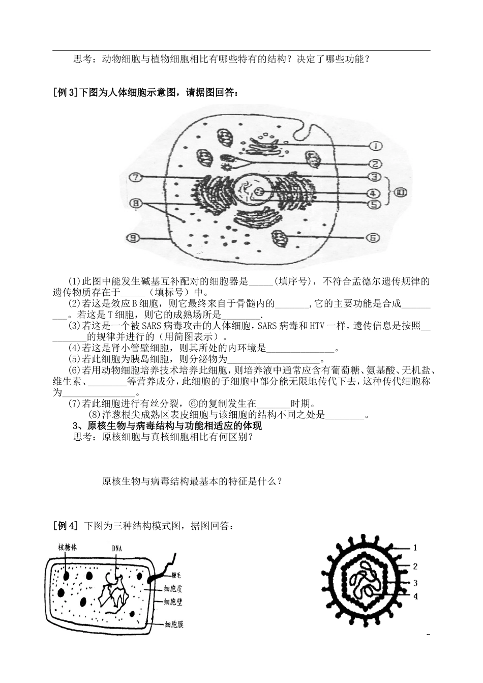 2014年高三生物二轮复习 细胞和细胞工程学案 苏教版_第2页