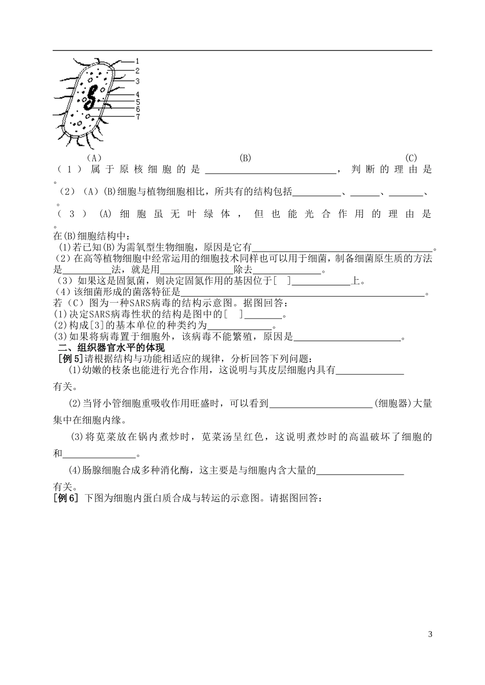 2014年高三生物二轮复习 细胞和细胞工程学案 苏教版_第3页