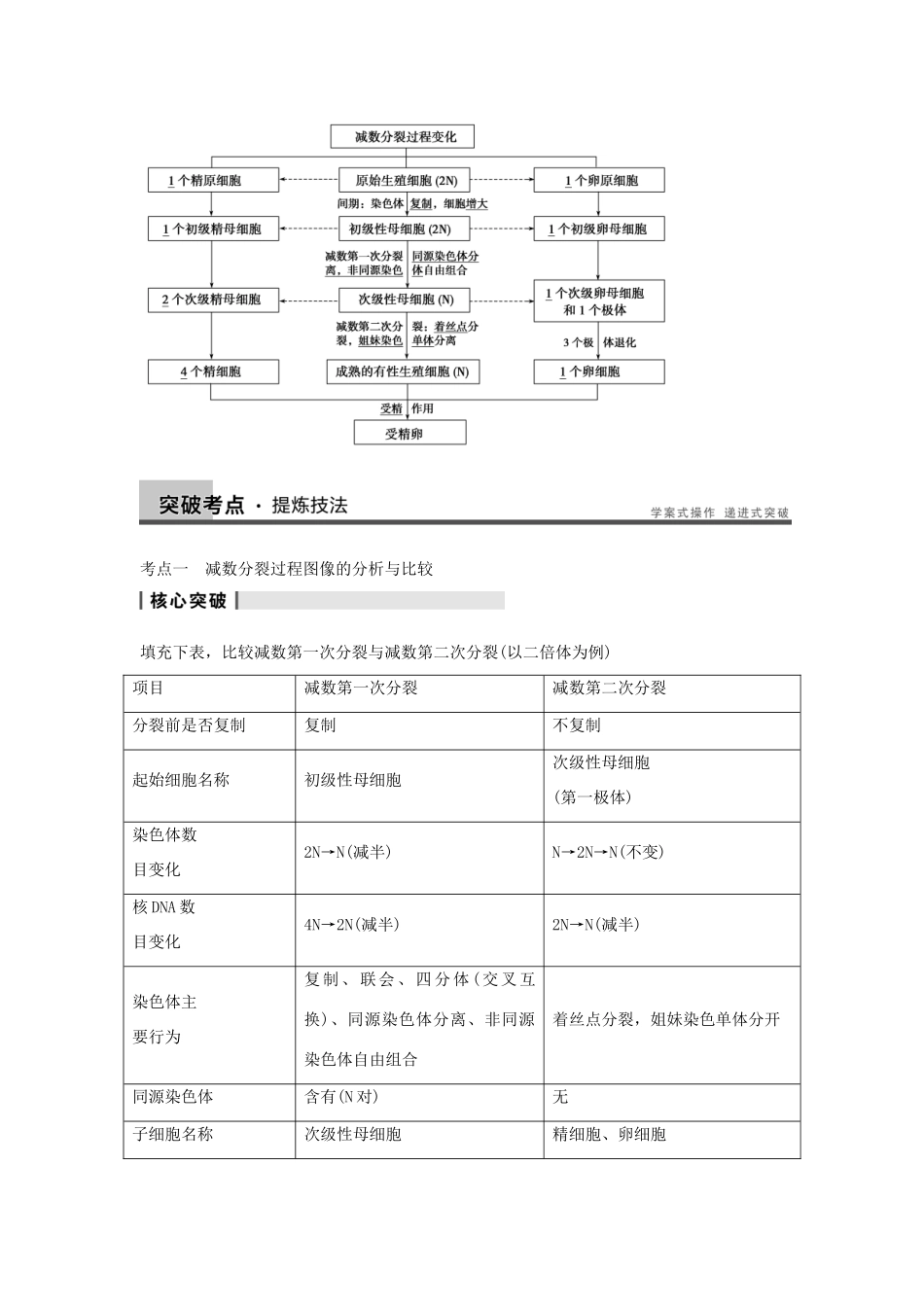 2014届高三生物一轮复习 4.14减数分裂和受精作用教学案 新人教版_第3页