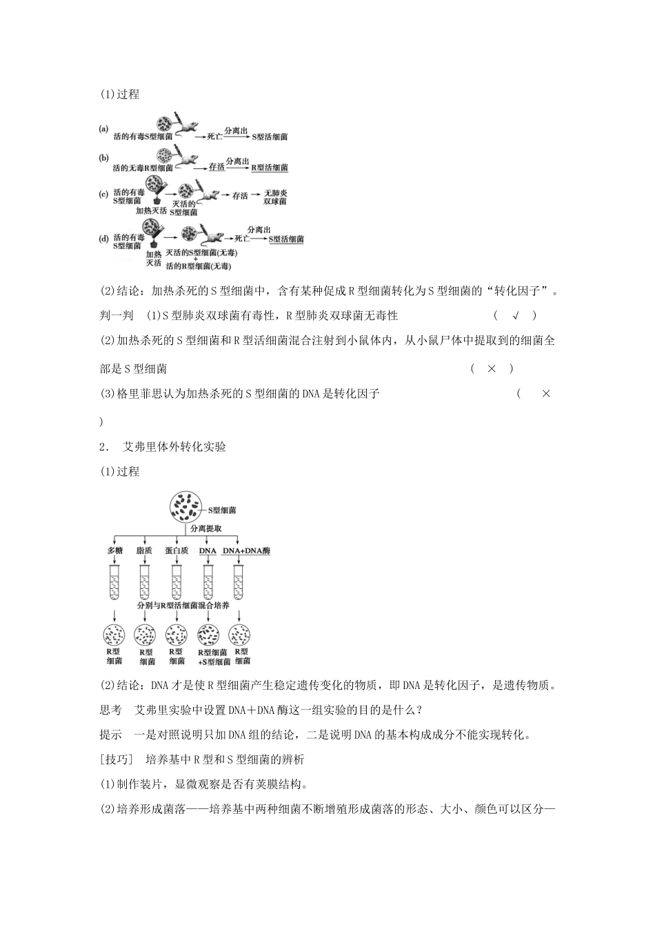 2014届高三生物一轮复习 6.18DNA是主要的遗传物质教学案 新人教版_第2页