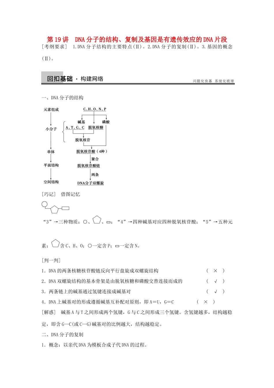 2014届高三生物一轮复习 6.19DNA分子的结构、复制及基因教学案 新人教版_第1页