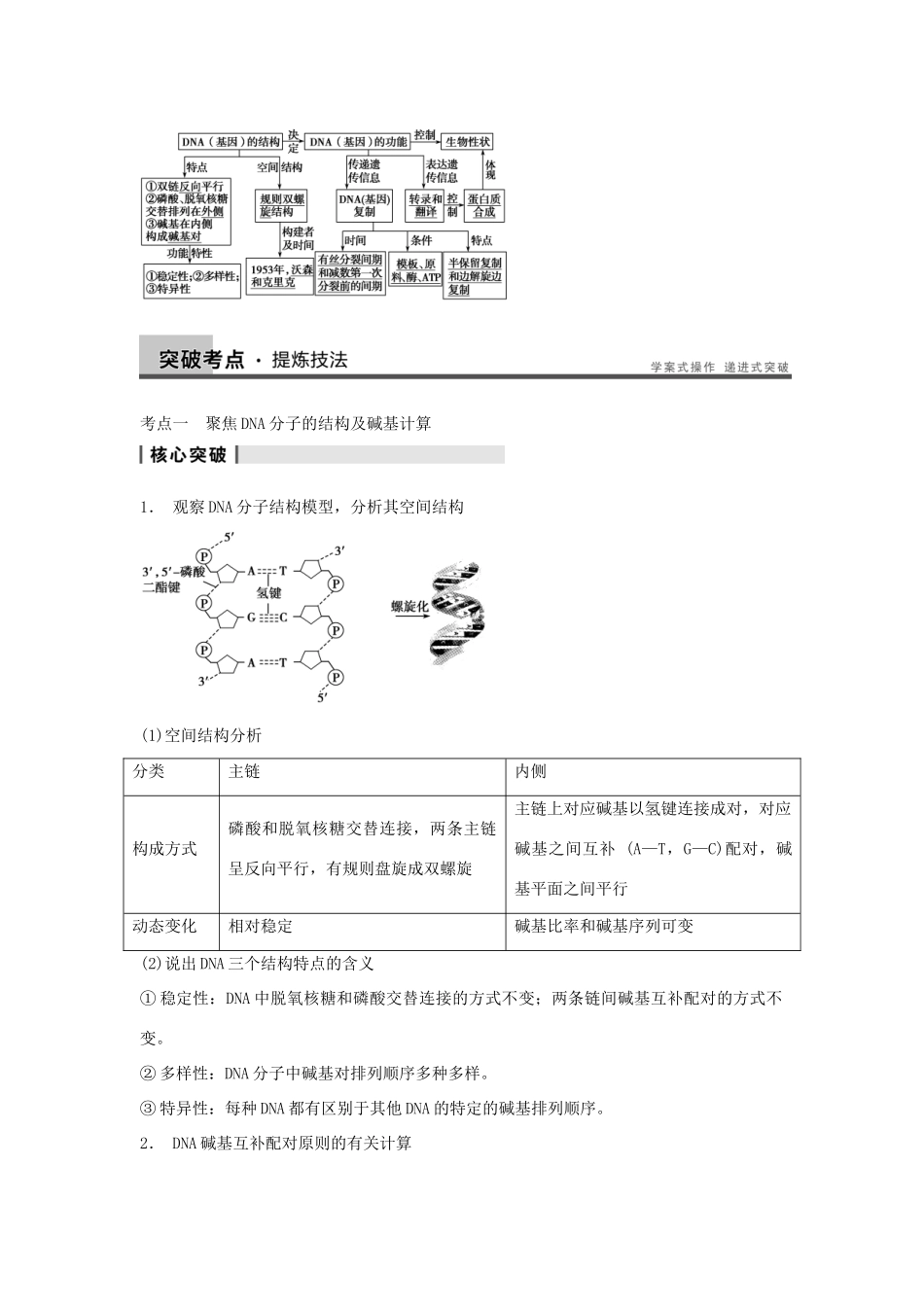 2014届高三生物一轮复习 6.19DNA分子的结构、复制及基因教学案 新人教版_第3页
