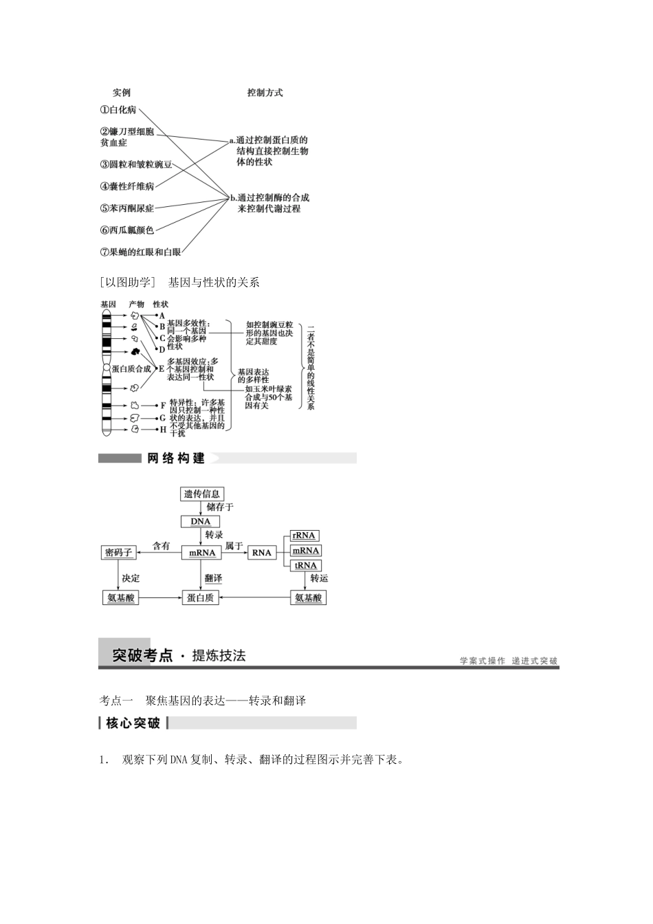 2014届高三生物一轮复习 6.20基因的表达教学案 新人教版_第3页