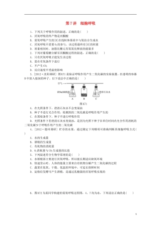 2014届高三生物一轮复习 第7讲 细胞呼吸（含解析）浙科版