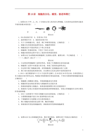 2014届高三生物一轮复习 第10讲 细胞的分化、癌变、衰老和凋亡（含解析）浙科版