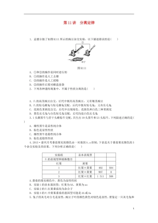 2014届高三生物一轮复习 第11讲 分离定律（含解析）浙科版