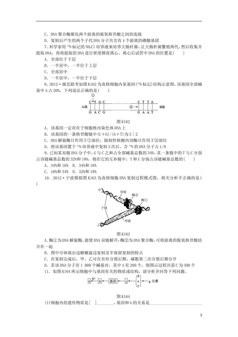 2014届高三生物一轮复习 第16讲 DNA分子的结构和复制（含解析）浙科版_第2页