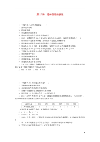 2014届高三生物一轮复习 第17讲 遗传信息的表达（含解析）浙科版