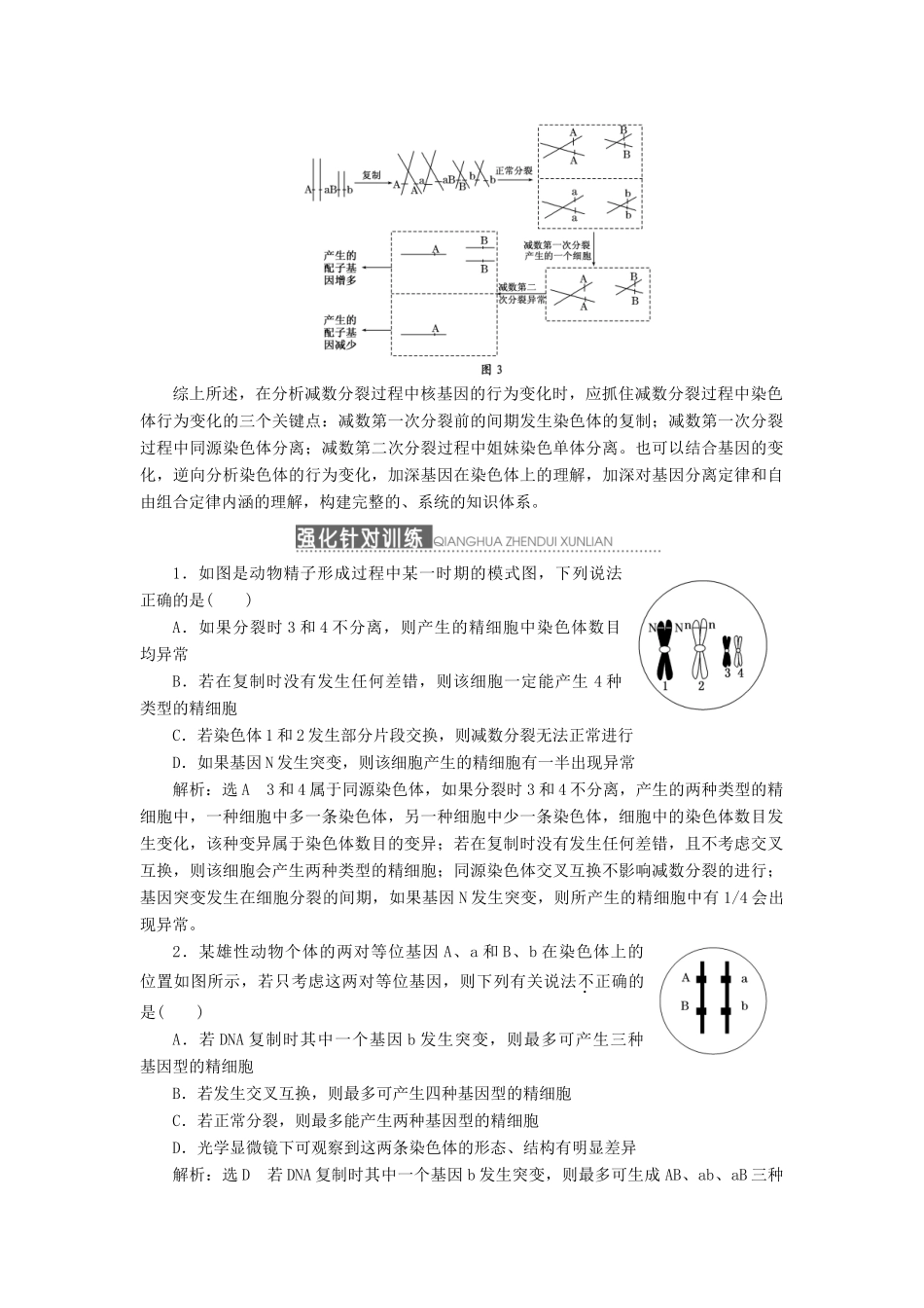 2014届高三生物一轮复习 专题培优课 追踪减数分裂中基因的异常行为变化 新人教版_第2页
