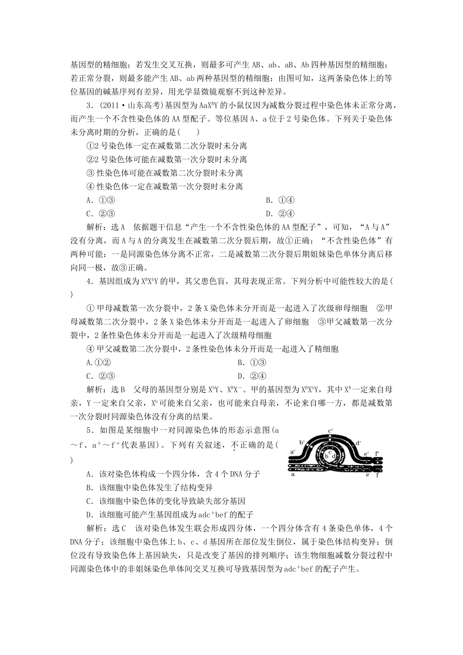 2014届高三生物一轮复习 专题培优课 追踪减数分裂中基因的异常行为变化 新人教版_第3页