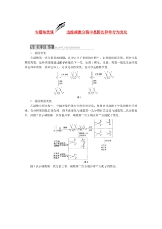 2014届高三生物一轮复习 专题培优课 追踪减数分裂中基因的异常行为变化 新人教版