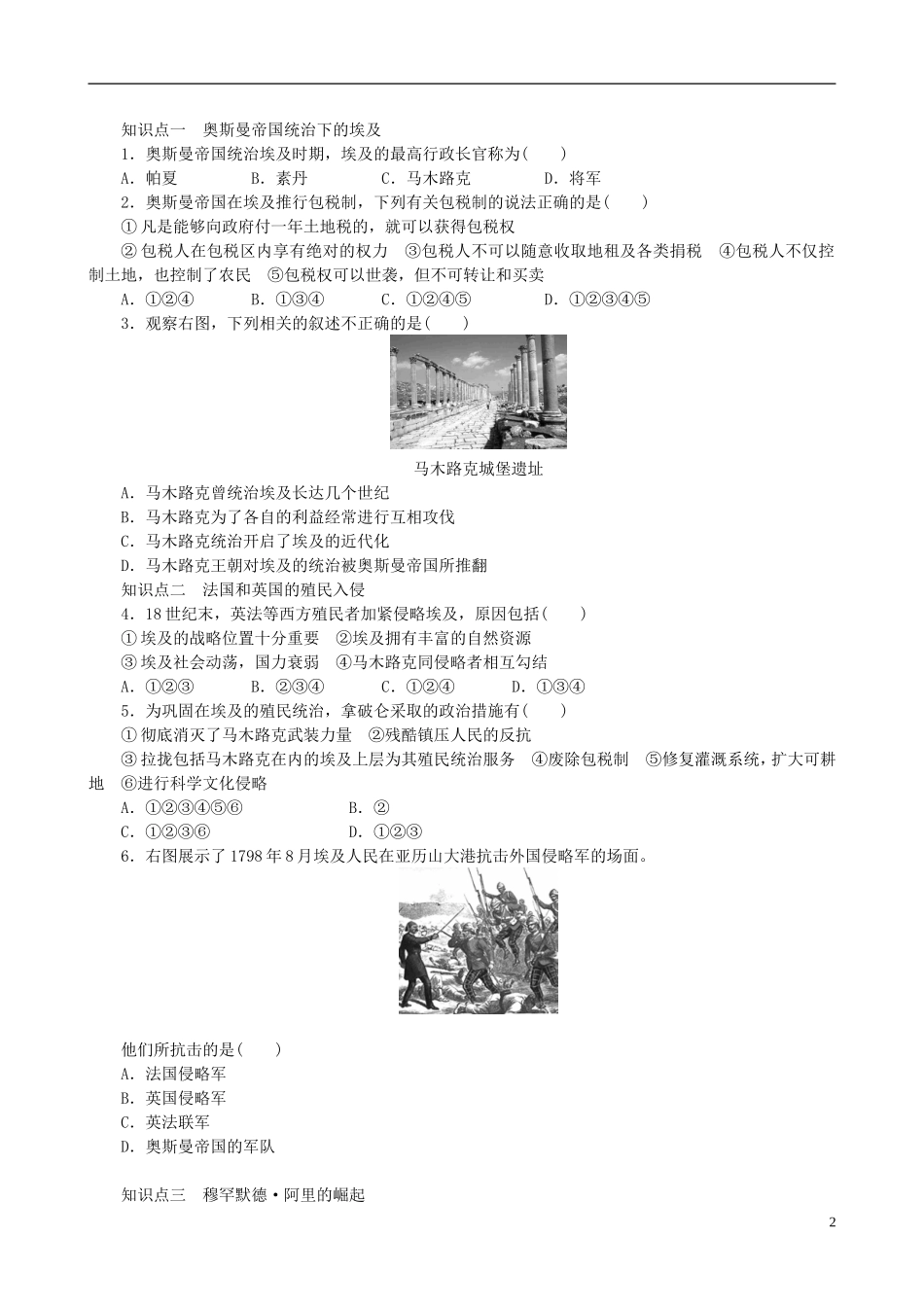 2014年高中历史 第六单元 第1课 18世纪末19世纪初的埃及同步教案 新人教版选修1_第2页