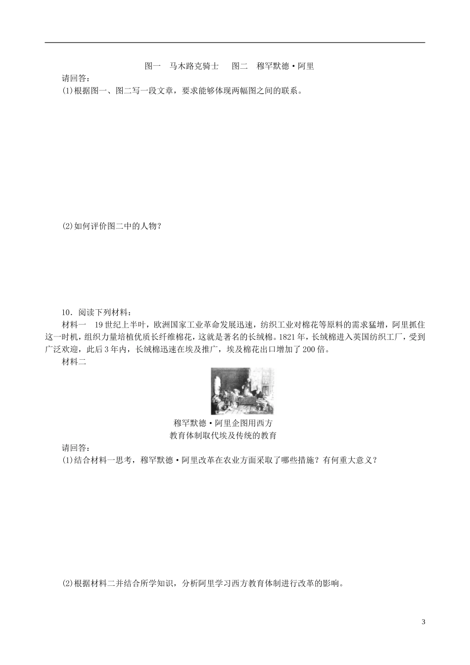 2014年高中历史 第六单元 第2课 默罕默德 阿里改革的主要内容同步教案 新人教版选修1_第3页