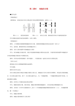 2014届高一生物 细胞的增殖 第2课时示范教案 新人教版