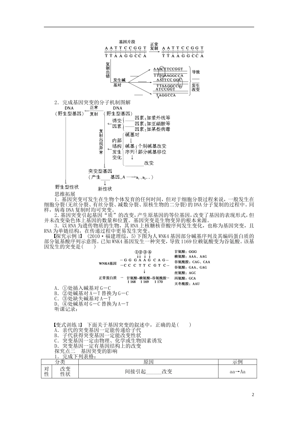 2014届高三生物大一轮复习 第七单元 生物变异、育种和进化 学案27基因突变和基因重组_第2页