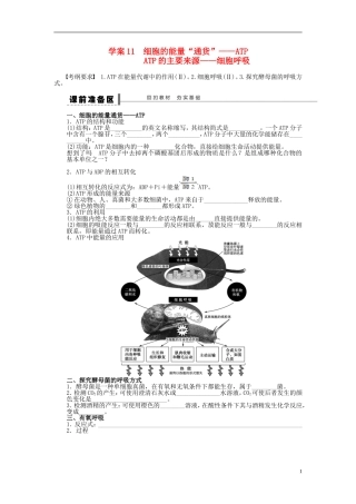 2014届高三生物大一轮复习 第三单元 学案11 细胞的能量“通货”—ATP