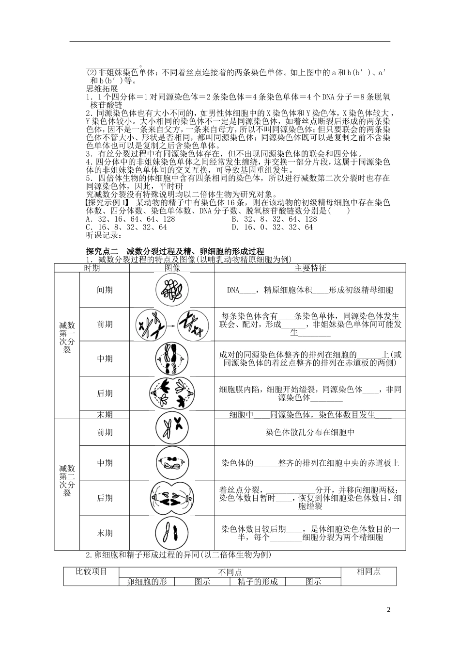 2014届高三生物大一轮复习 第四单元 学案17减数分裂和受精作用_第2页
