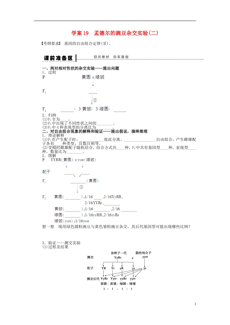2014届高三生物大一轮复习 第五单元 学案19 孟德尔的豌豆杂交实验(二)_第1页