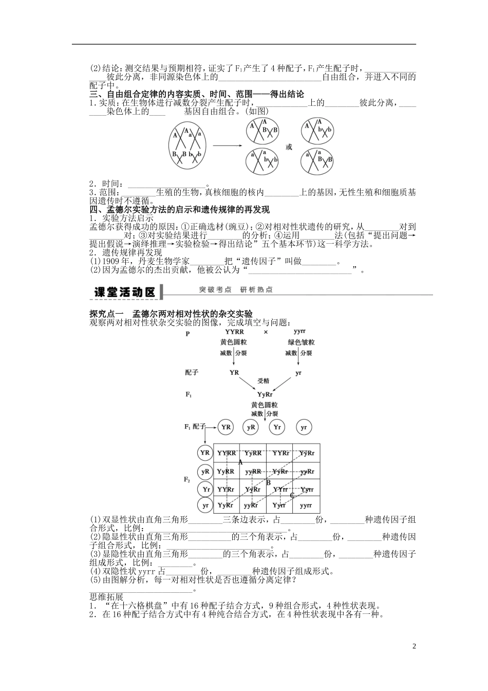 2014届高三生物大一轮复习 第五单元 学案19 孟德尔的豌豆杂交实验(二)_第2页