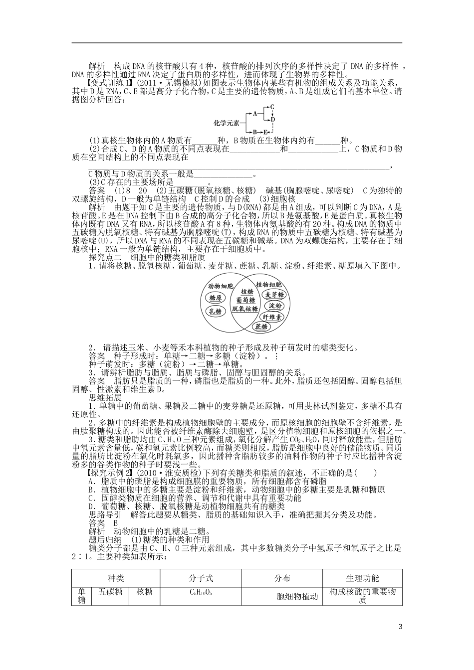 2014届高三生物大一轮复习 第一单元 学案4遗传信息的携带者 核酸细胞中的糖类和脂质_第3页