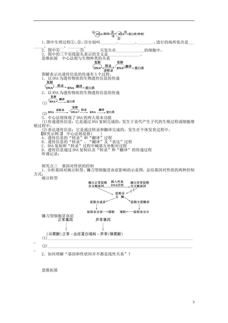2014届高三生物大一轮复习 学案25基因指导蛋白质的合成_第3页