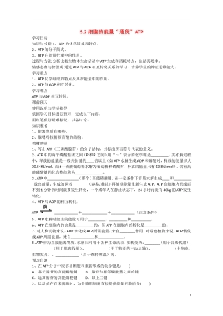 2014年秋高中生物 5.2 细胞的能量“通货”ATP学案 新人教版必修1 