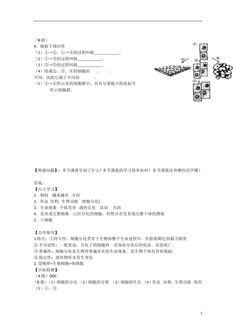 2014年秋高中生物 6.2 细胞的分化教案 新人教版必修1_第2页
