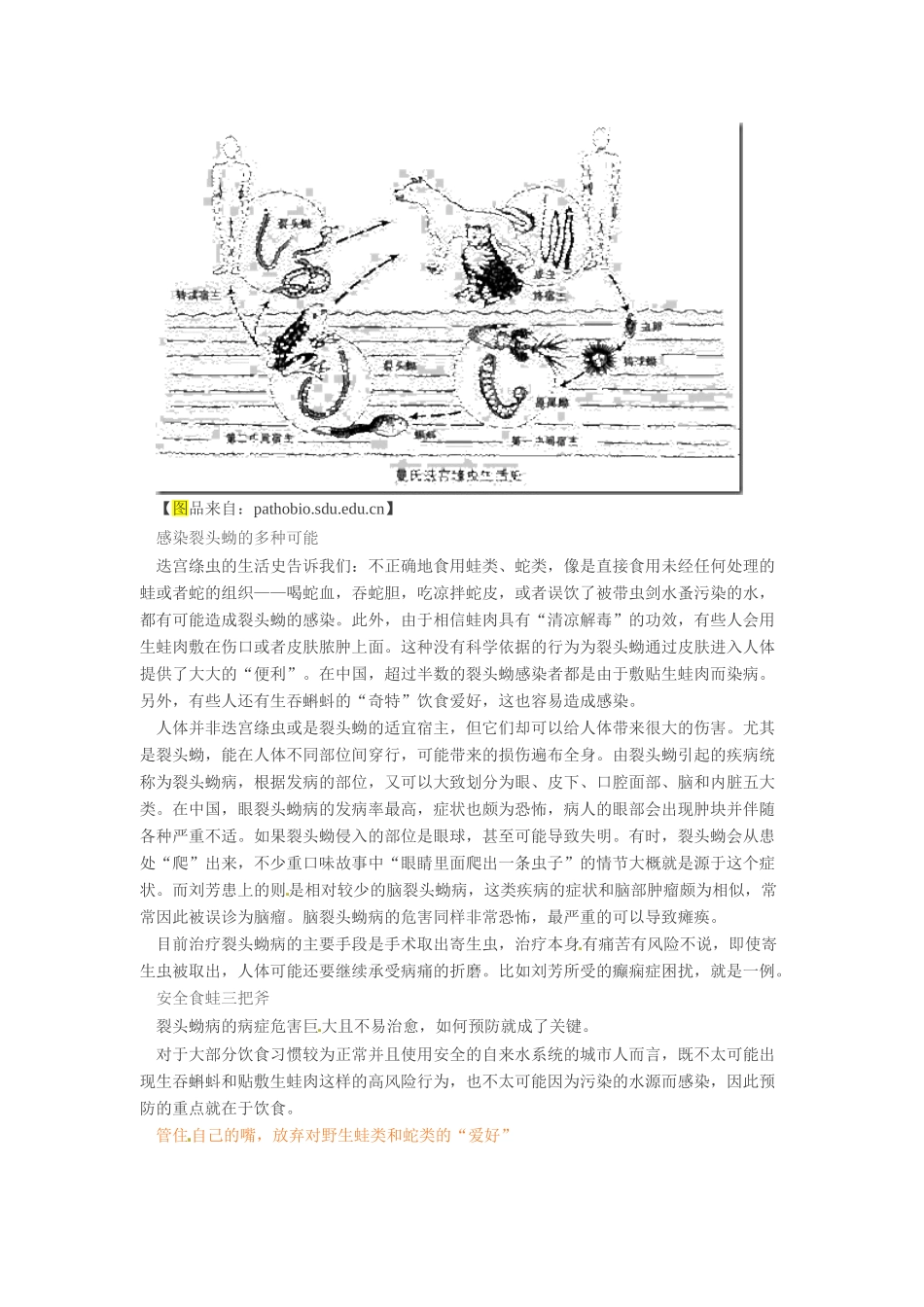2014年高考化学二轮复习（热门素材+练习）吃牛蛙会感染寄生虫吗？_第2页