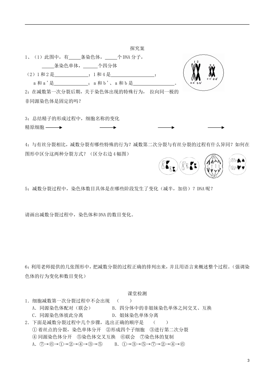 2014年高中生物 2.1 减数分裂导学案 新人教版必修2_第3页