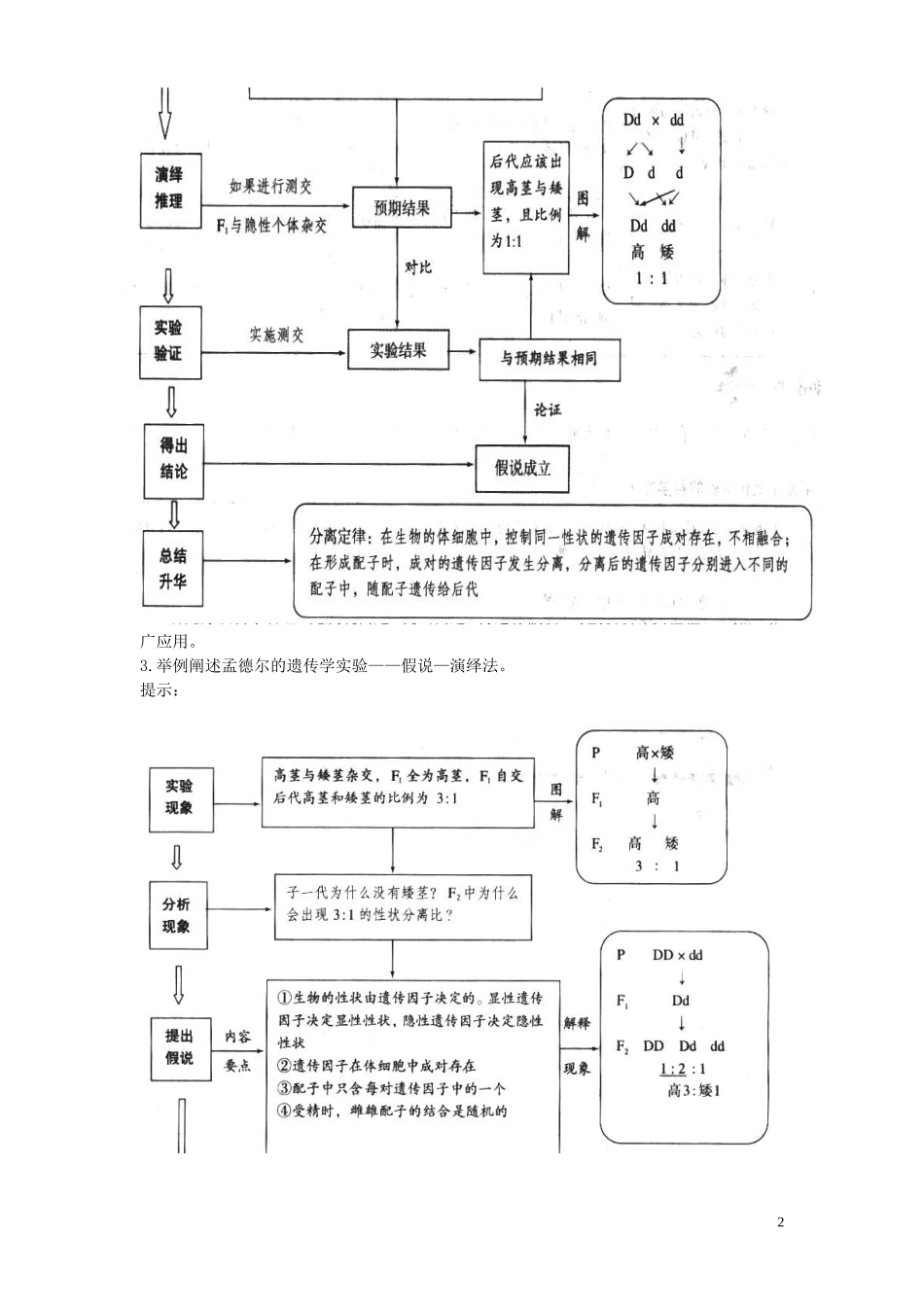 2014年高中生物 3.1基因的分离定律学案2 苏教版必修2_第2页