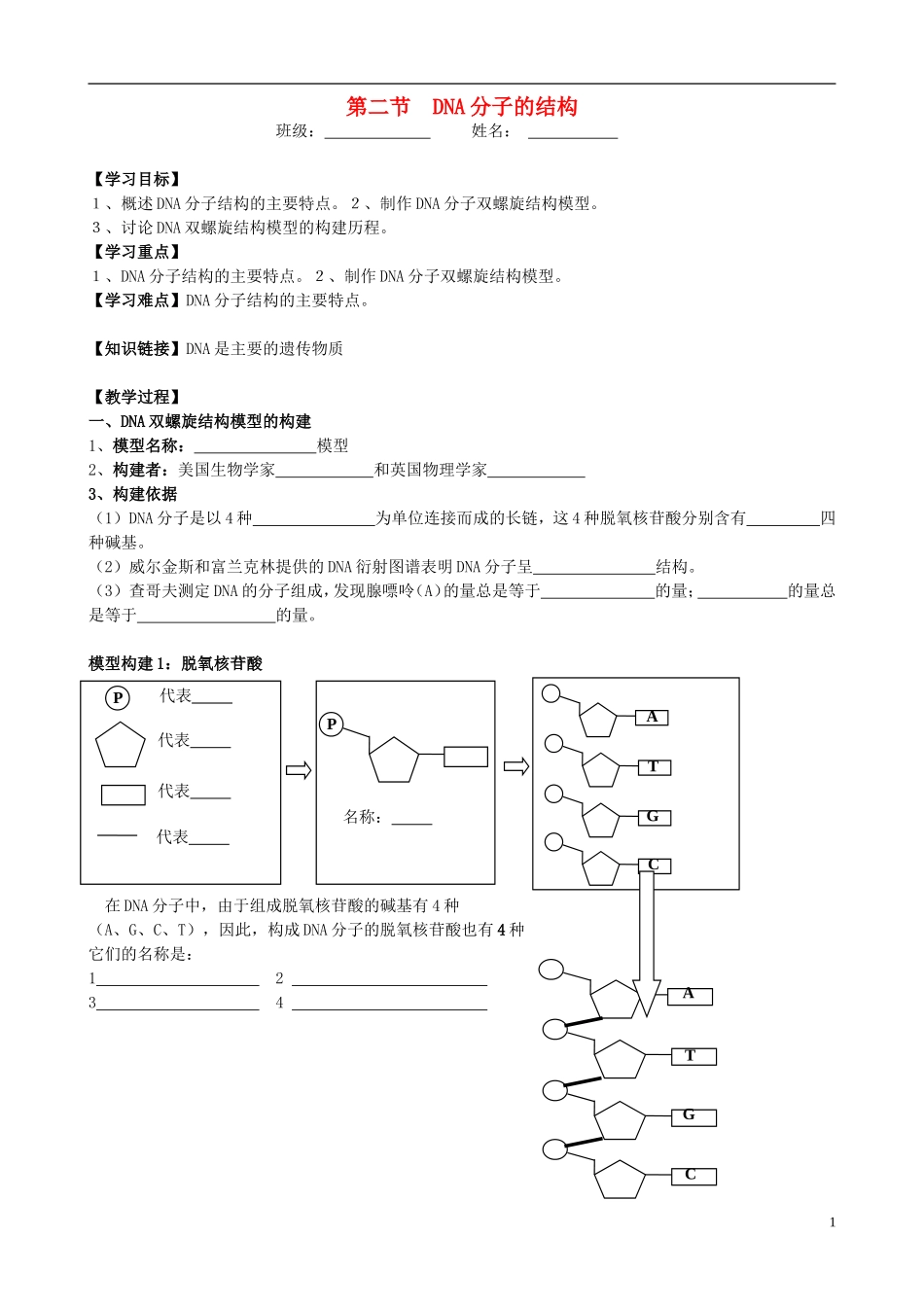 2014年高中生物 DNA分子结构导学案_第1页