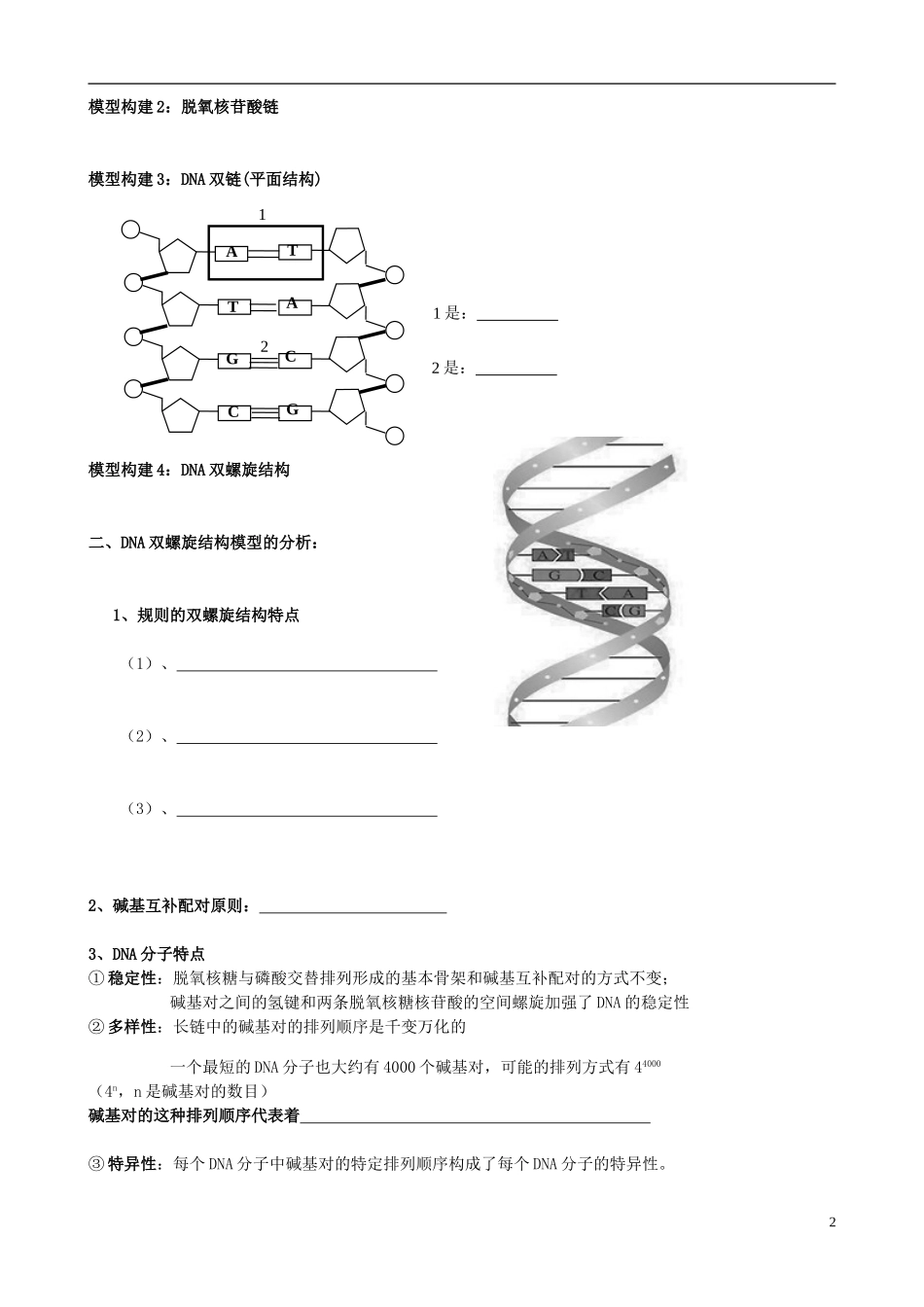 2014年高中生物 DNA分子结构导学案_第2页
