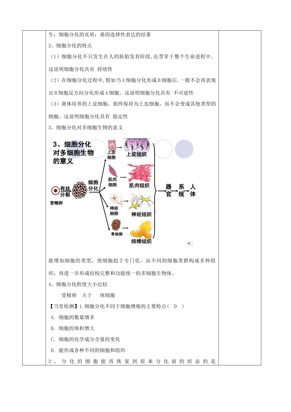2014年高中生物 细胞分化、衰老和凋亡教案 苏教版生物必修1_第3页