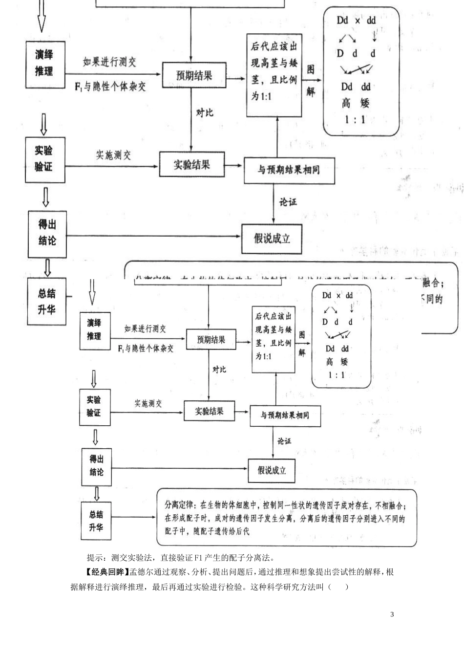 2014年高中物理 3.1 基因的分离定律学案（2）苏教版必修2_第3页