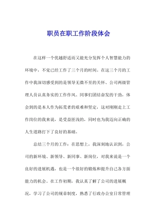 职员在职工作阶段体会