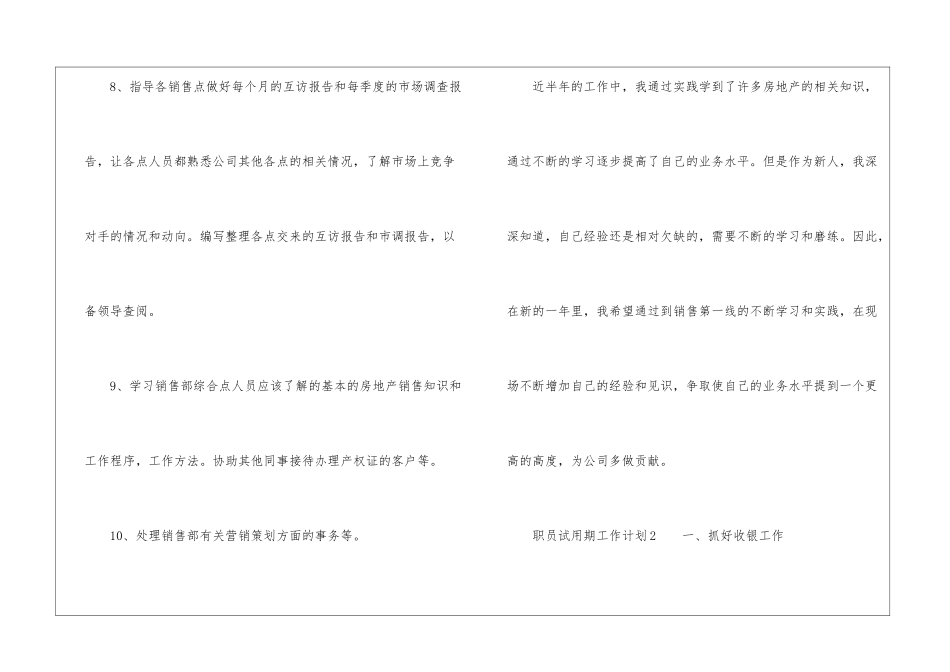 职员试用期工作计划_第3页
