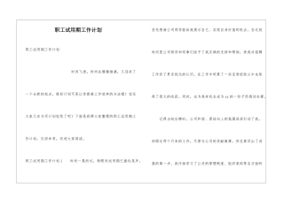 职工试用期工作计划